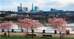 bridge2013